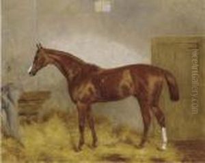 Cymbal, A Chestnut Racehorse In A Stable