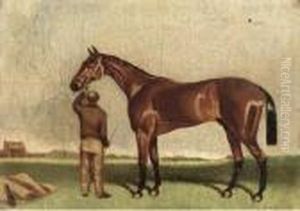 Rataplan; And Nutwith Rataplan; And Nutwith