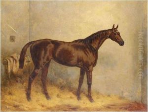 ````apology', A Liver Chestnut Racehorse In A Stable At Ashby