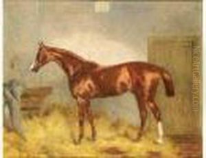 "cymball Dans L'ecurie". "cymball Dans L'ecurie".