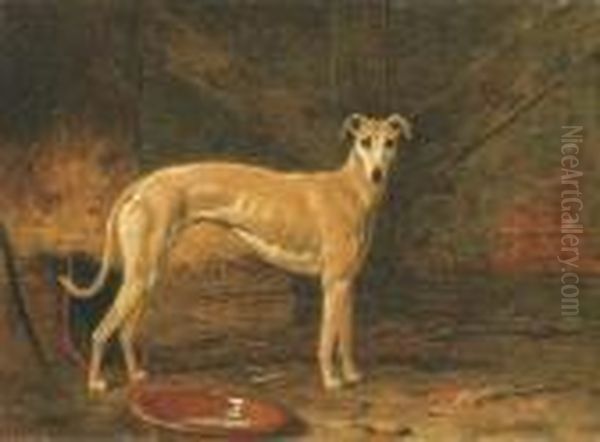 Coomassie, Winner Of The Waterloo Cup - view 1