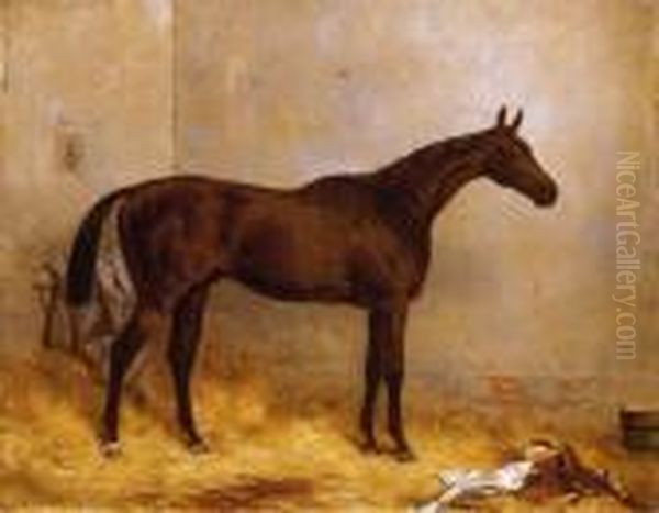 Racing Horse - view 1