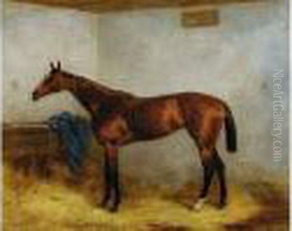 Chopette, Portrait De Cheval A L'ecurie - view 1