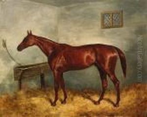 Thunderbolt, A Chestnut Racehorse In A Stable
