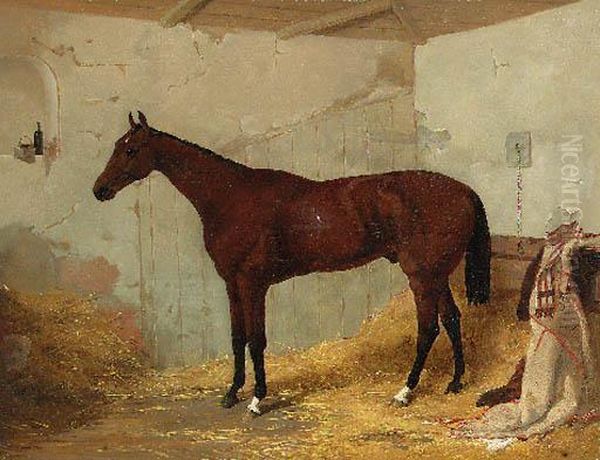 A Bay Racehorse In A Stable - view 1