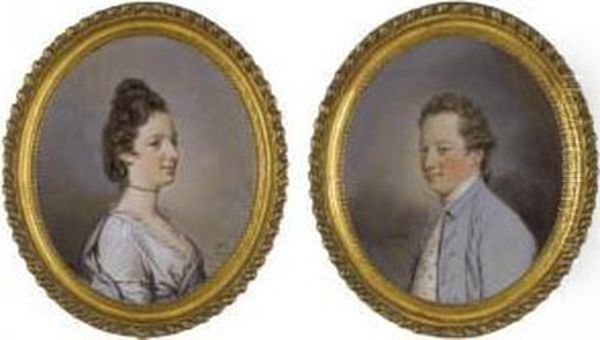 Portrait Of Sir Watkin Williams Wynn - view 1