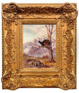 Balzender Auerhahn In Alpenlandschaft by Max I Hanger
