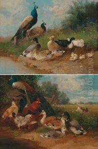Two Paintings Of Poultry
