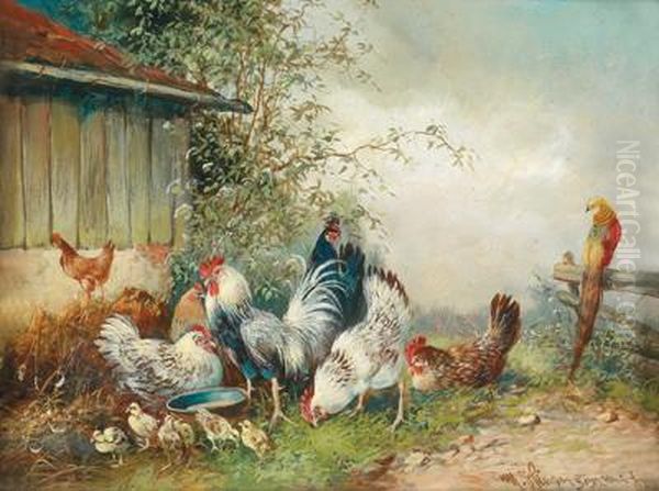 Huhner Und Ein Pfau - view 1
