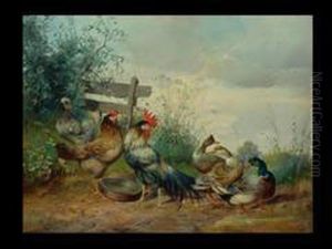 Huhner Und Enten
