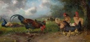 Huhnerhof Mit Pfau. by Max I Hanger