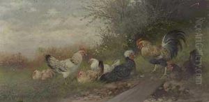 Hahn Mit Sechs Huhnern Am Waldrand by Max I Hanger