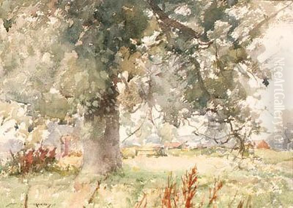 Silver Trees At Pulborough - view 1