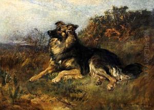 A Dog Seated On A Grassy Bank, Possibly A Collie by Heywood Hardy