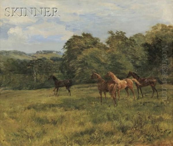 The Yearlings - view 1