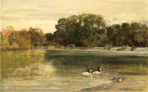 River Landscape River Landscape