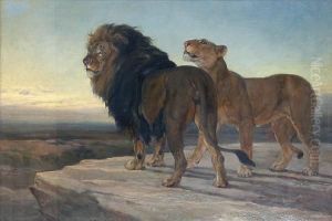 Lion And Lioness by Heywood Hardy