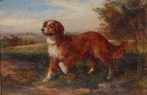 Study Of A Retriever by Heywood Hardy