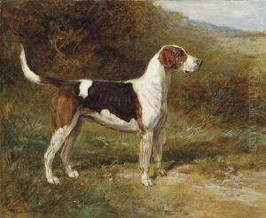 Sunshine
, A Foxhound Of The Quorn