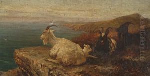 Goats On A Coastal Cliff Top by Heywood Hardy