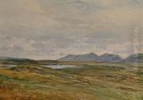 An Extensive Landscape With A View Towards Mountains. - view 1