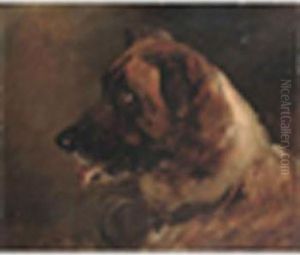 Study Of Ast.bernard Signed Study Of Ast.bernard Signed
