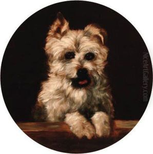 A West Highland Terrier