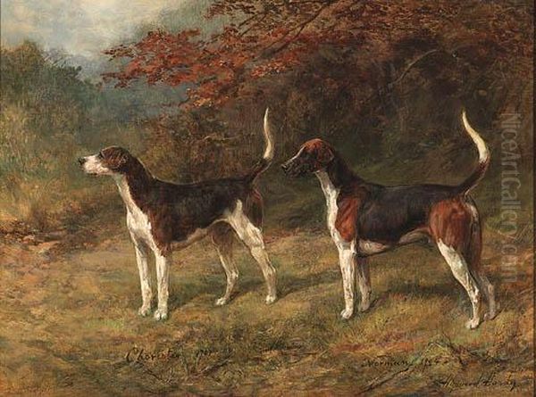 Chorister And Norman, One Couple Of Fox Hounds Beside Acovert - view 1