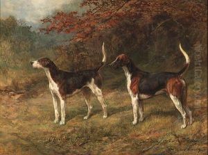 Chorister And Norman, One Couple Of Fox Hounds Beside Acovert