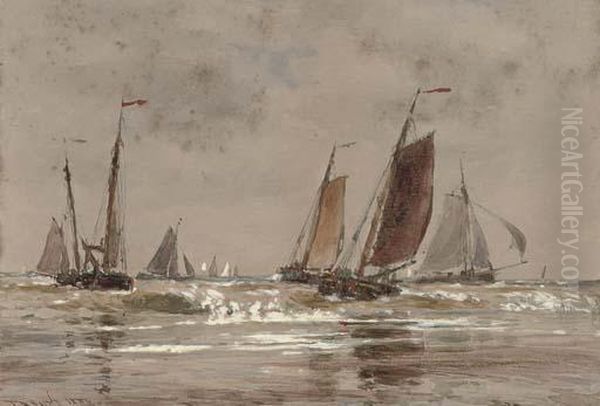 Dutch Pincks At Scheveningen - view 1