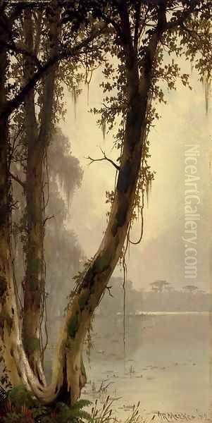 Bayou Lafourche, Louisiana - view 1