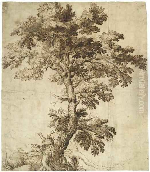 A Tree On An Outcrop - view 1