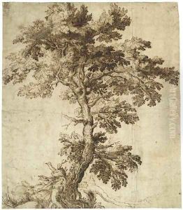 A Tree On An Outcrop