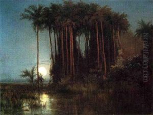 Moonlight over a Marsh in Ecuador by Louis Remy Mignot