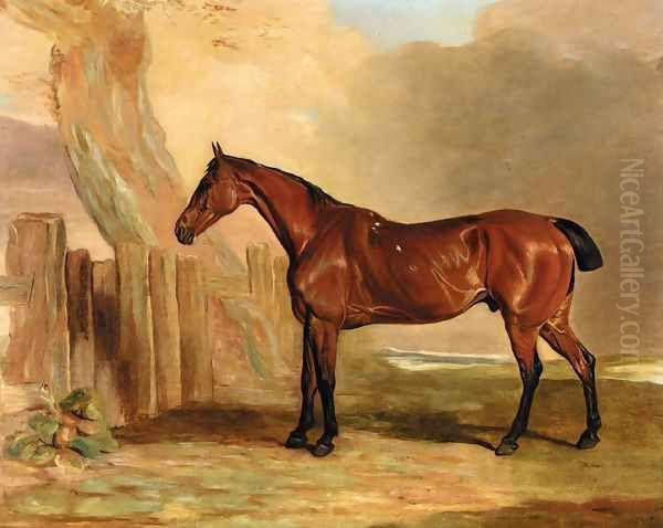Old Favourite, a Bay Hunter in a Landscape - view 1