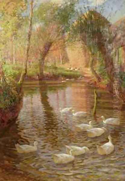 Ducks - view 1