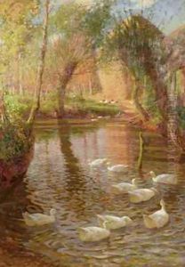 Ducks by Lindsay MacArthur
