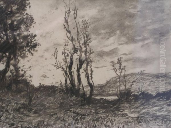 Paysage - view 1