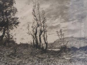 Paysage Paysage