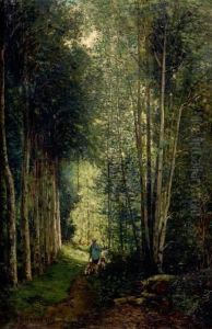 Chasseur Dans L'allee Du Sous-bois