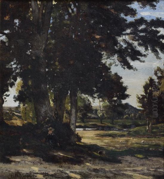 Promeneur Se Reposant Dans Un Paysage Boise - view 1