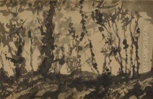 Paysage Aux Grands Arbres Paysage Aux Grands Arbres