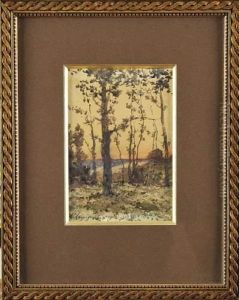 Arbres Au Crepuscule Arbres Au Crepuscule