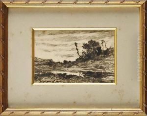 Paysage Vallonne En Bord D'etang