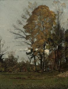 A Woodsman In The Forest