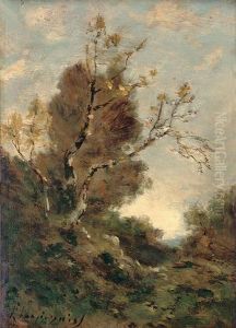 A Woodland Track