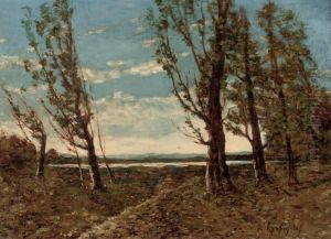 Paysage Au Coup De Vent