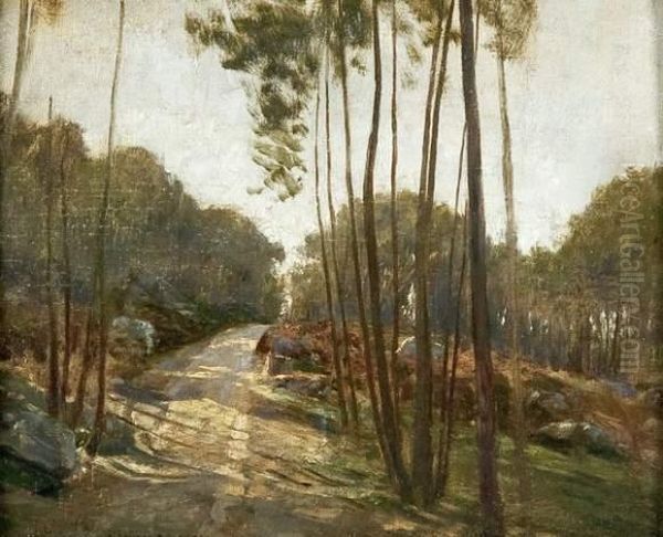 Les Forets De Fontainebleau - view 1