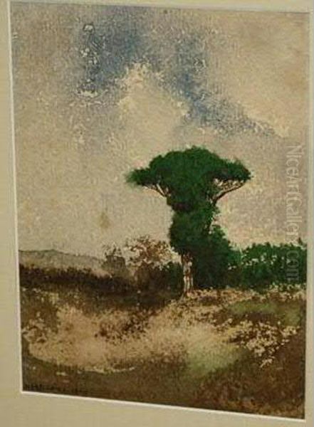 Paysage En Campagne - view 1