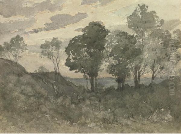 A Wooded Landscape In Evening Light - view 1